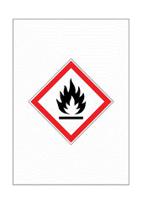 146-425 RS PRO Black, Red, White Vinyl Polyester Safety Labels, Electric Shock Emergency-Text 210mm x 148mm