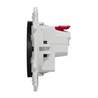 s540052 Schneider Electric Anthracite 1 Gang Plug Socket, 2 Poles, 16A, French 2P, Indoor Use