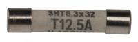 80205022g Schurter 12.5A T Ceramic Cartridge Fuse, 6.3 x 32mm