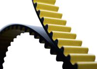 ctd-1120-8m-36 Contitech CTD 1120-8M-36 Timing Belt, 140 Teeth, 1120mm Length, 36mm Width