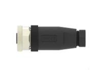 t4110002051-000 TE Connectivity Circular Connector, 5 Contacts, Cable, M12 Connector, Socket, Female, IP67, T411 Series