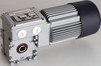 mc-320p2t-70-b5 Mini Motor Reversible Induction Geared AC Geared Motor, 74 W, 3 Phase, 230 V, 400 V