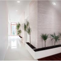 90016 Sylvania LED Spotlight, 240 V, 87 x 47 mm, 4.8 W