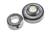 rae15-xl-npp-fa106 INA Bearing Unit Insert 15mm ID 40mm OD RAE15-XL-NPP-FA106