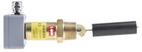 010-3463 Gems Sensors LS-2050E Buna N Series Level Switch Level Switch, SPDT Output, Horizontal, Brass Body