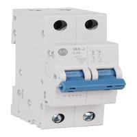188-j2d040 Allen Bradley MCB, 2P, 4A Curve D, 400V AC, 96V DC