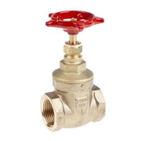261-0328 RS PRO Gate Valve, 1in