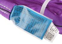 729-3050 RS PRO 4m Purple Lifting Sling Round, 1t