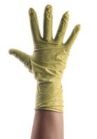 g0159 Reldeen Green Powdered Vinyl Disposable Gloves, Size 9, Large, 100 per Pack