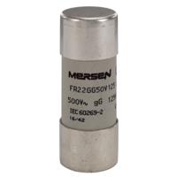 j219773 Mersen 125A Slow-Blow Ceramic Cartridge Fuse, 22.2 x 58mm