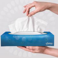 8824 KLEENEX  White Paper Towel, 3-Ply, 72 Sheets