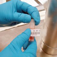 m6-21-427-rd Brady B-427 Red, Transparent Label, 25.40mm Width, 19.05mm Height, 100 Qty