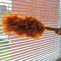 101413 Robert Scott Gold Hand Brush for Dust Cleaning with brush included