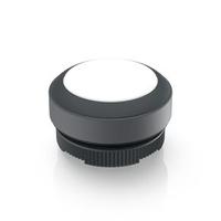 1302700012201 RAFI Push Button Switch for Use with RAFIX Switching Element