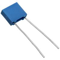 b32529c1104k289 EPCOS B32529 Polyester Capacitor (PET), 100V dc, ±10%, 100nF, Through Hole