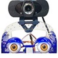 311 Ohbot  Vision Sensor