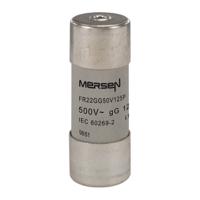 h218208 Mersen 125A Slow-Blow Ceramic Cartridge Fuse, 22.2 x 58mm