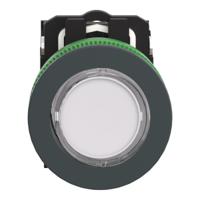 xb5fw31m5 Schneider Electric Harmony Series Illuminated Push Button, Panel Mount, 30mm Cutout, SPDT
