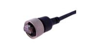 231-7955 RS PRO, 300mm Cat6, Black RJ45 to Male RJ45 Male, STP Shielded, Terminated PVC Sheath
