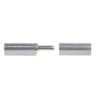 270-2916 Pinet Stainless Steel Bullet Hinge, Weld-on Fixing, 80mm x 16mm