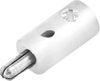 208-0214 RS PRO White Male Banana Plug, 32A, 30V, Nickel Plating