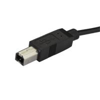 usb2cb2m StarTech.com USB 2.0, Male USB C to Male USB B, 480Mbps, 2m