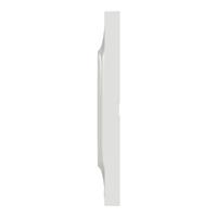 s520704 Schneider Electric White 2 Gang Cover