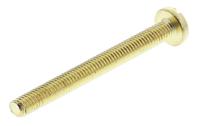 483-1432 RS PRO Slot M3 Pan Brass Machine Screws DIN 85 x 30.0mm