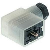 933389100 Hirschmann, GML IP65 Black Screw 2+1PE Angled Industrial Power Socket, Rated At 10A, 24 V ac/dc