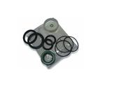 qa812500 Norgren Seal Kit