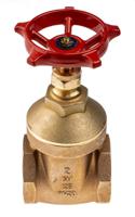 510-3867 RS PRO Gate Valve, 2in