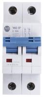 1492-spm2c100 Allen Bradley 1492 1492-SPM MCB, 2P, 10A Curve C, 277V AC, 96V DC, 10 kA Breaking Capacity