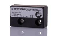 6402052311 Bernstein AG Standard Actuator (Magnet) for Use with Magnetic Switches