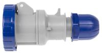 3181643 Scame IP66, IP67 Blue Cable Mount 2P + E Industrial Power Socket, Rated At 16A, 230 V