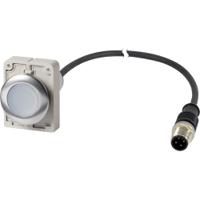 186003-c30c-fdl-w-k10-24-p5 Eaton Series C30 Series Illuminated Illuminated Push Button Switch, Momentary, Threaded, 22.5mm Cutout, 1NO, White LED,