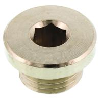 0919-00-13 Legris G 1/4 Brass Corrosion Resistant Plug