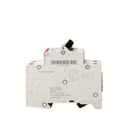 2csr255080r2165-ds201-b16-ac100 ABB RCBO, 16A Current Rating, 2P Poles, 100mA Trip Sensitivity, Type B, System Pro M Compact Range