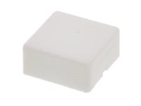 aml51-c10w Indicator Lens Square Style, White, 20.5mm Long