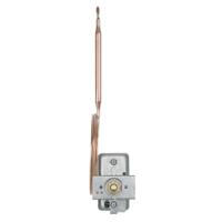 6020210001-041-000-70-1000-40-10-00-00-000-00-6 Jumo Capillary Thermostat, 90°C Max, Automatic Reset, Panel Mount
