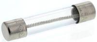 0313005hxp Littelfuse 5A T Glass Cartridge Fuse, 6.3 x 32mm