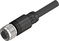 283-4903 RS PRO Female 3 way Straight M8 to Unterminated Free Cable End Actuator/Sensor Cable, 30 m