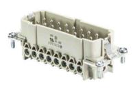 7031016400 Wieland Male insert, 16 Way, 16A, Male, BAS STS, Panel Mount, 500 V