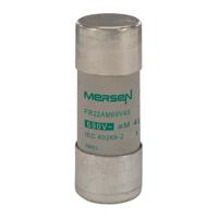n213613 Mersen 40A Ceramic Cartridge Fuse, 22 x 58mm