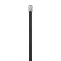 mltfc2s-cp316 Panduit Cable Tie Assemblies, , 201mm x 4.6 mm, Black 316 Stainless Steel, Pk-100units