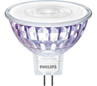 929001904902 Philips GU5.3 LED Reflector Lamp 7-50 W(50W), 3000K, White, Reflector shape