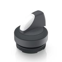 1302721012201 RAFI Selector Switch - 22.3mm Cutout Diameter, Illuminated 1 Positions