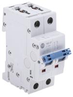 1492-spm2c100 Allen Bradley 1492 1492-SPM MCB, 2P, 10A Curve C, 277V AC, 96V DC, 10 kA Breaking Capacity
