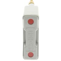 rs20p-ggy Eaton 20A Rail Mount Fuse Holder, 1P, 690V ac