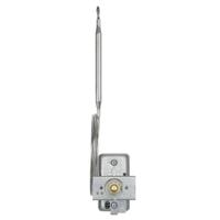 6020210001-046-000-50-1000-20-10-00-00-000-00-8 Jumo Capillary Thermostat, 500°C Max, Automatic Reset, Panel Mount