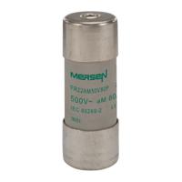 z218729 Mersen 80A Slow-Blow Ceramic Cartridge Fuse, 22.2 x 58mm